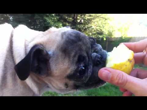 how to eat lemon cucumber