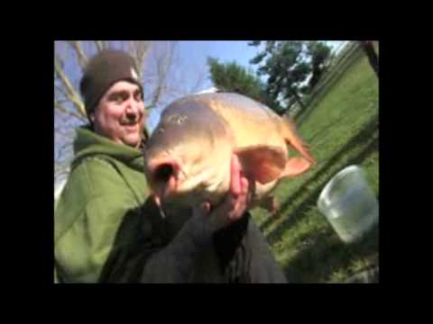 XL Carp Video