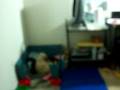 videos de Reyna & Babies