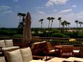 The Phoenician