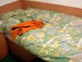 My room in Trigon, Sheffield