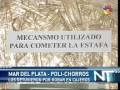 Poli - ladron