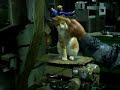 Miau