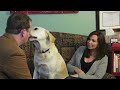The Shopaholic - Unlicensed Therapist: ep 2 The
