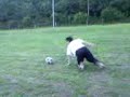 joga malito 4 (barthez)