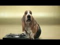 beatboxender hund xD beatboxender hund xD