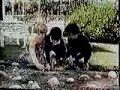 Star Wars Vintage KENNER Commercial - FX7/Snowtrooper/Chewie