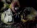 Star Wars Vintage KENNER Commercial - FX7/Snowtrooper/Chewie
