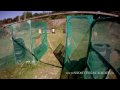 Adam Tyc head cam ipsc all stages 8/2009 in HD!