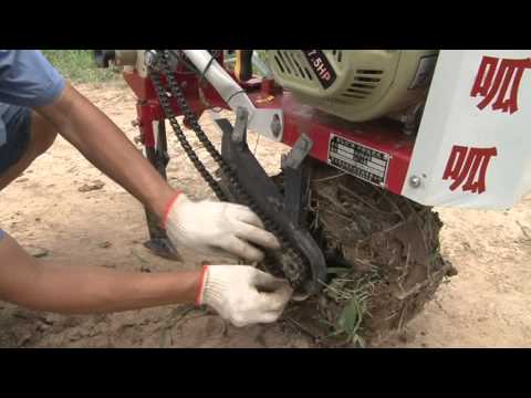 how to fertilize iris