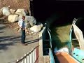 Log Flume ride filling up