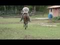 videos de Afrik Hija de Faraon en Amaranta (Duelo)