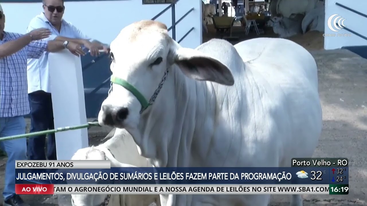Julgamentos, divulgação de sumários e leilões fazem parte da programação da 91ª Expozebu