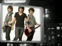 paramore lovers