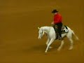 Reining Remix - it\