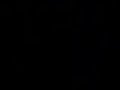 Kenny Scott黒人 ELT Live Insert (ELT ライブConcert Insert) 持田香織