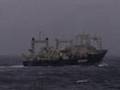 Greenpeace-schip-Esp