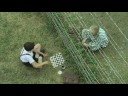 The boy in the striped pajamas [2008] - movie trailer