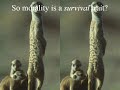 Miracles and Morals - The Golden Rule Miracles and Morals - The Golden Rule