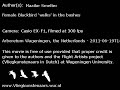 Merel - Blackbird - Turdus merula Merel - Blackbird - Turdus merula