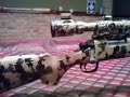 Digital Camoflage airsoft rifle Digital Camoflage airsoft rifle