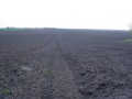1.Maj 2004. Pesak-Dolovo