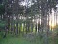 1.Maj 2004. Pesak-Dolovo