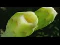 http://bahaivideo.com/
http://www.bahaullah.ca/
http://www.bahai.us/


*?. �*?.�*?.�*?. �*?.� �.?*�.?*�.?*�.?*�.?*
.....?�?.*? love ????? light ?*.?�?........
�.?* �.?*�.?* �.?*�.?* peace*?.�*?.�*?.�*?.�*?.�

peace & love

bah�'u'll�h - messenger of god 
in the past, god's messengers have for the most part presented their messages to humanity by speaking or preaching; these outpourings have been recorded by others, sometimes during the prophet's life, sometimes later, from the memory of his followers. the founder of the bah�'� faith, however, himself took up pen and paper and wrote down for humanity the revelation he received or dictated his message to believers who served as secretaries. 

more 
http://www.bahaullah.com/bahaullah-messenger.html

http://www.bahai.us/bahaullah

http://134.34.57.91/sites/index.php?id=555&l=5