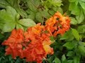 http://bahaivideo.com/
http://www.bahaullah.ca/
http://www.bahai.us/


*?. �*?.�*?.�*?. �*?.� �.?*�.?*�.?*�.?*�.?*
.....?�?.*? love ????? light ?*.?�?........
�.?* �.?*�.?* �.?*�.?* peace*?.�*?.�*?.�*?.�*?.�

peace & love

bah�'u'll�h - messenger of god 
in the past, god's messengers have for the most part presented their messages to humanity by speaking or preaching; these outpourings have been recorded by others, sometimes during the prophet's life, sometimes later, from the memory of his followers. the founder of the bah�'� faith, however, himself took up pen and paper and wrote down for humanity the revelation he received or dictated his message to believers who served as secretaries. 

more 
http://www.bahaullah.com/bahaullah-messenger.html

http://www.bahai.us/bahaullah

http://134.34.57.91/sites/index.php?id=555&l=5