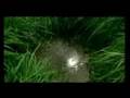 Beethoven - 9th Symphony 3rd * Peace*Love*Unity*Bahai