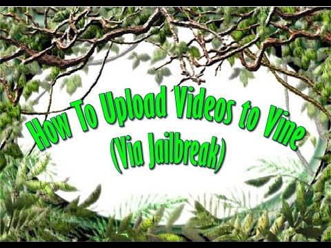 how to upload videos to vine