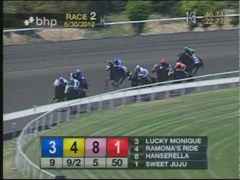 racing results cheltenham