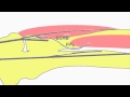 Reconstruction Of The Finger Flexion Reconstruction Of The Finger Flexion