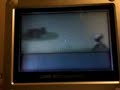 Pokemon Ruby/Sapphire Walkthrough pt. 3: Wally and Petalburg