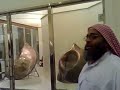 hadj-omra-umrah-hajj-,Haramain-,Islam