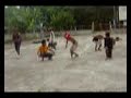 force attraction of moalboal cebu