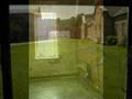Trans-Allegheny Lunatic Asylum