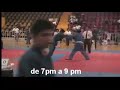 Shinobi taijutsu