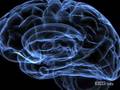 Neurofeedback for Peak Performance - EEG Info Videos