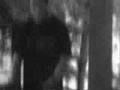 videos de The Dust