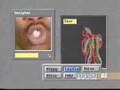 A-Tribe-Called-Quest