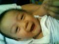 maingay gavin