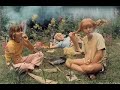 Black Ingvars - Här Kommer Pippi Långstrump