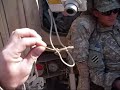 Tasty Little Lizard.wmv