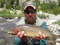 Fly Fishing for BIG GOLDEN TROUT #2 (EVEN BIGGER - Wyo)