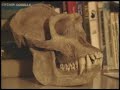 Bigfoot Documentary Part 3: Ancient Mysteries