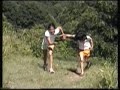 blue ridge frolicking blue ridge frolicking