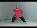 Silk-Reeling Exercise for Tai Chi, Bagua, Hsing-I