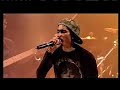 Beat assailant Live aux vieilles charrues 2007 2