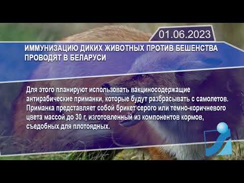 Новостная лента Телеканала Интекс 01.06.23.